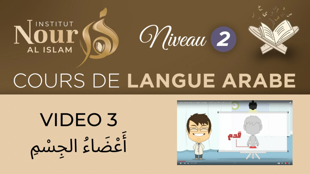 Arabe N2 - Vidéo 3 أَعضَاء الجسم